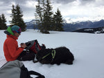 Running in the snow with a dog